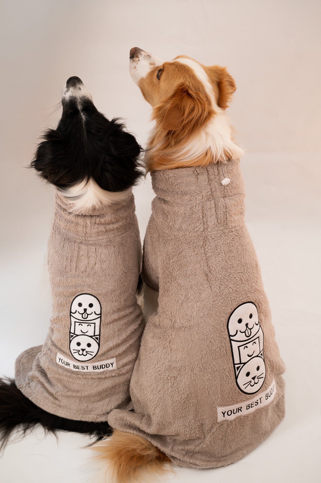 Your_Best_Buddy56.jpg
